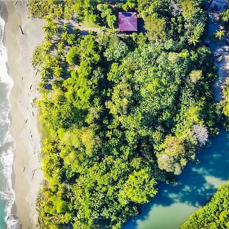 Puerto Jiménez Punta Preciosa Bed & Breakfast エクステリア 写真