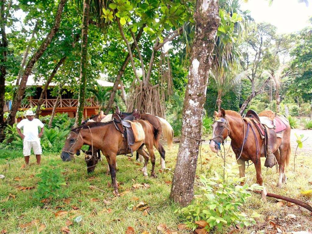 Puerto Jiménez Punta Preciosa Bed & Breakfast エクステリア 写真