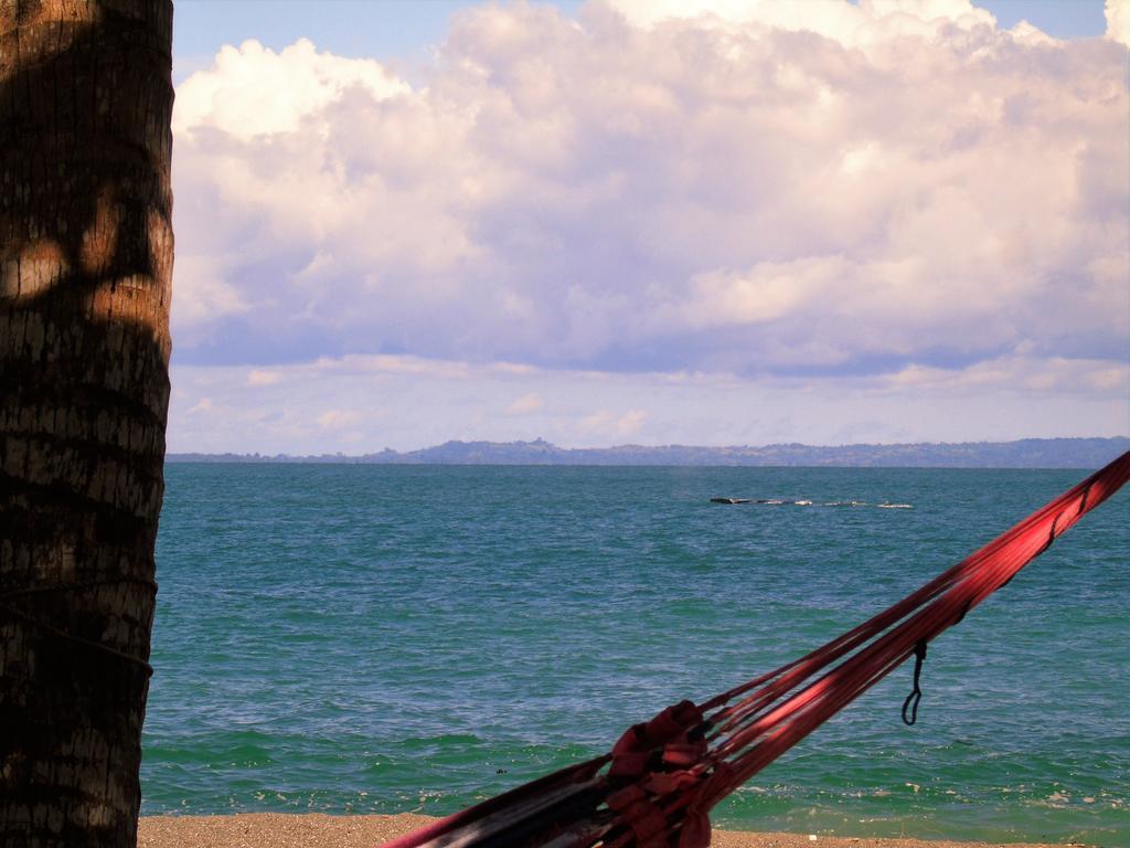 Puerto Jiménez Punta Preciosa Bed & Breakfast エクステリア 写真