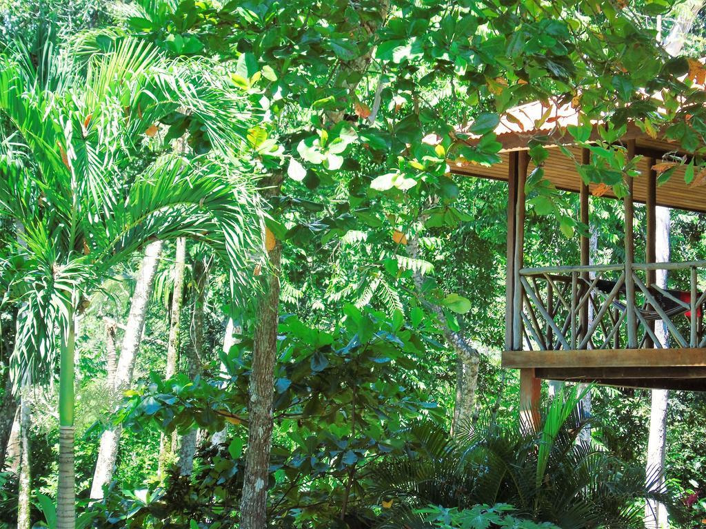 Puerto Jiménez Punta Preciosa Bed & Breakfast エクステリア 写真