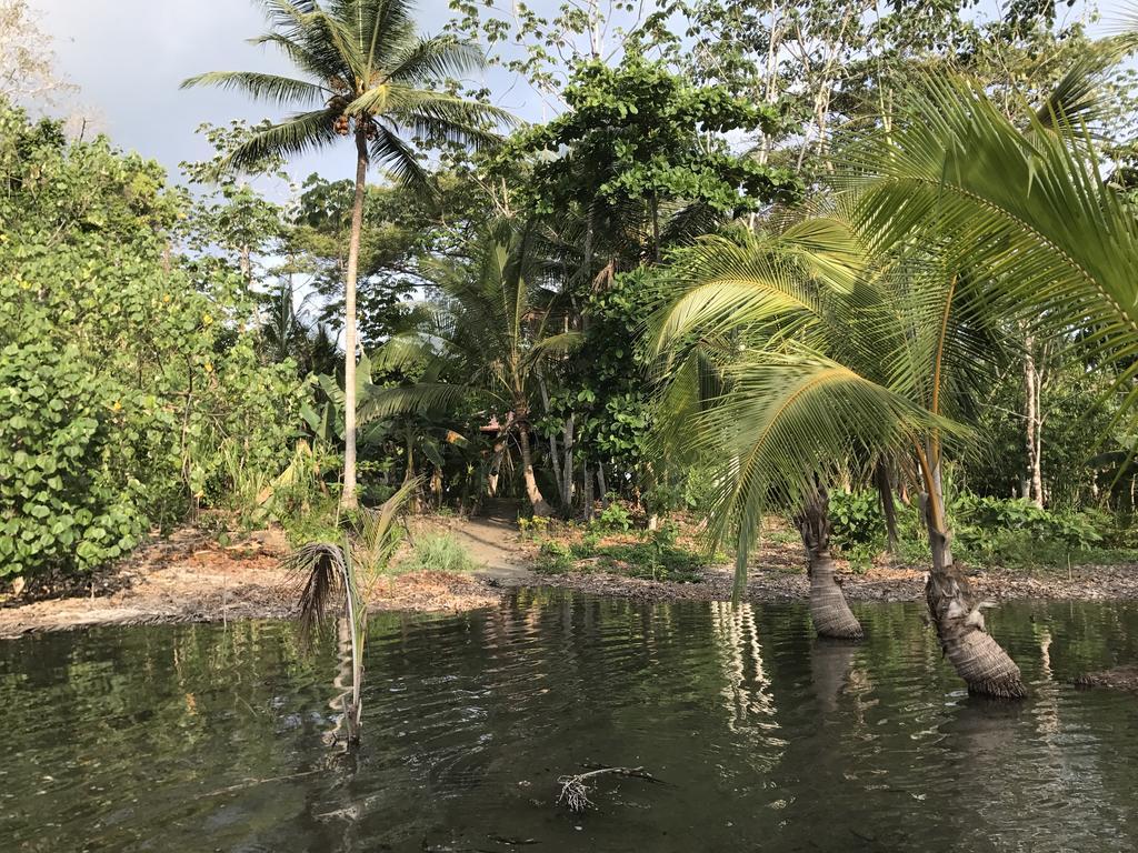Puerto Jiménez Punta Preciosa Bed & Breakfast エクステリア 写真