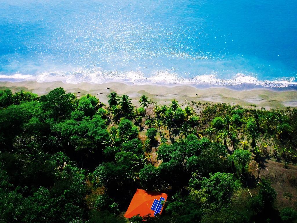 Puerto Jiménez Punta Preciosa Bed & Breakfast エクステリア 写真