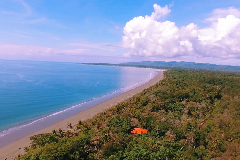 Puerto Jiménez Punta Preciosa Bed & Breakfast エクステリア 写真