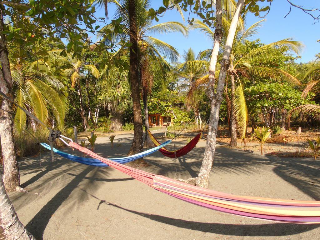 Puerto Jiménez Punta Preciosa Bed & Breakfast エクステリア 写真