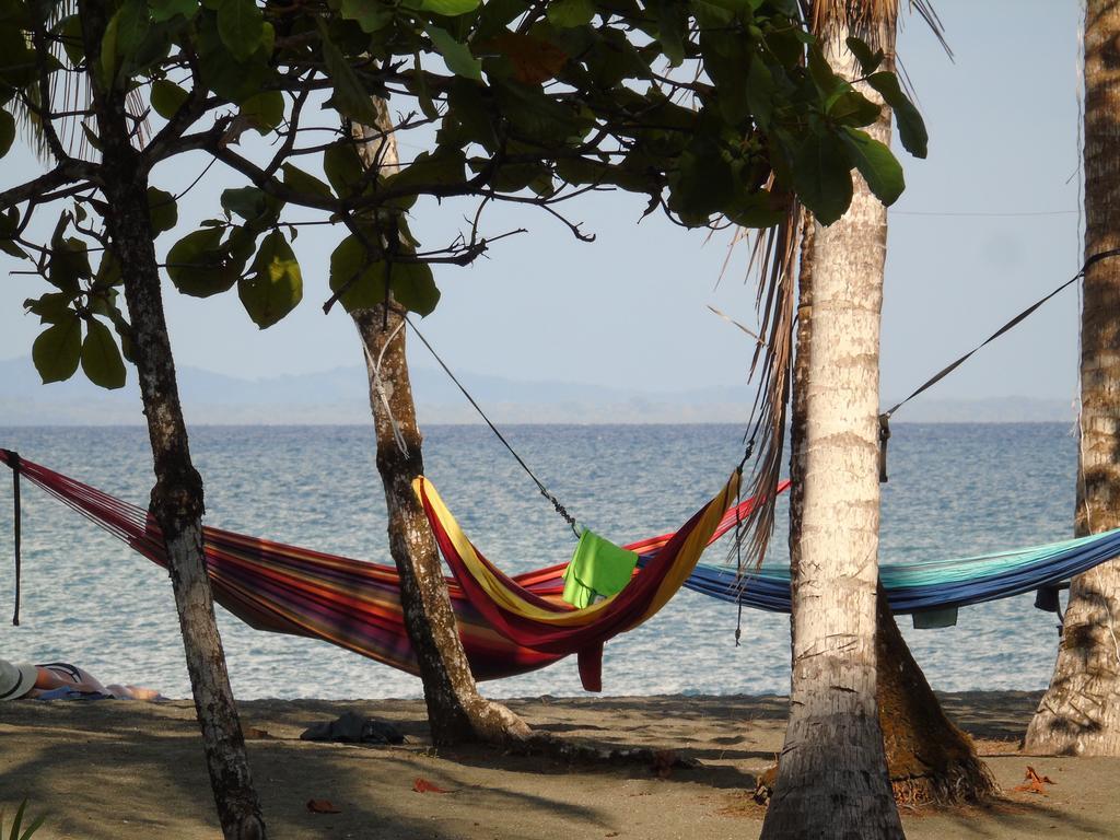 Puerto Jiménez Punta Preciosa Bed & Breakfast エクステリア 写真