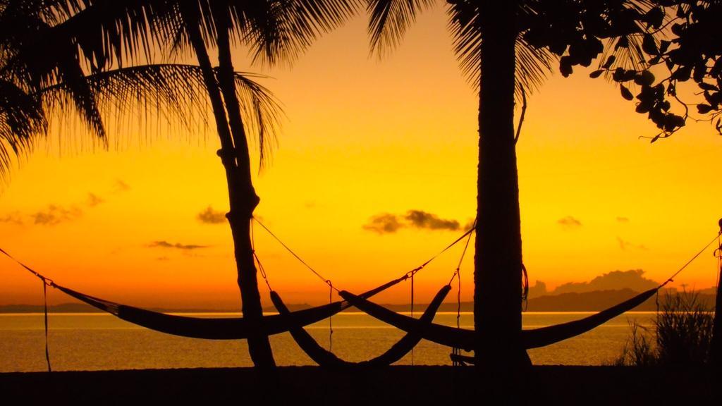 Puerto Jiménez Punta Preciosa Bed & Breakfast エクステリア 写真