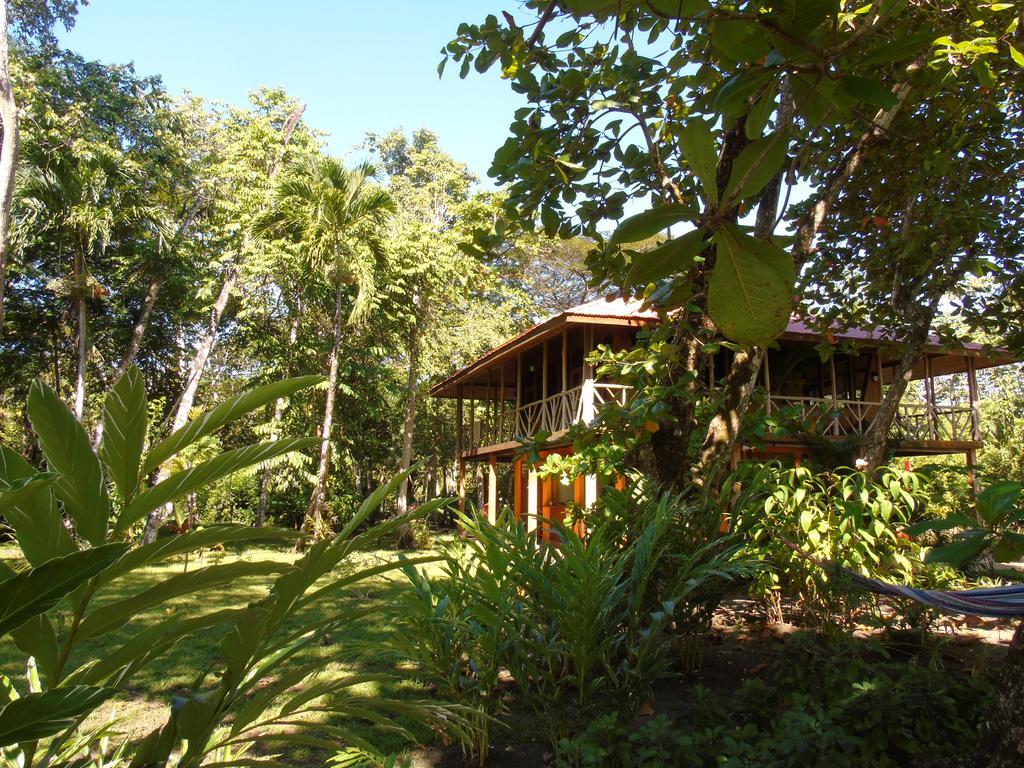 Puerto Jiménez Punta Preciosa Bed & Breakfast エクステリア 写真
