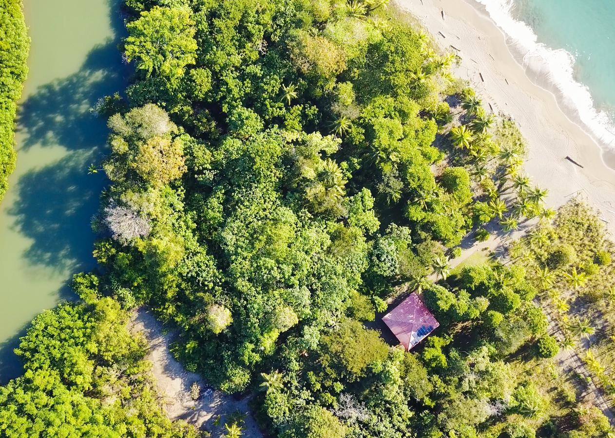 Puerto Jiménez Punta Preciosa Bed & Breakfast エクステリア 写真