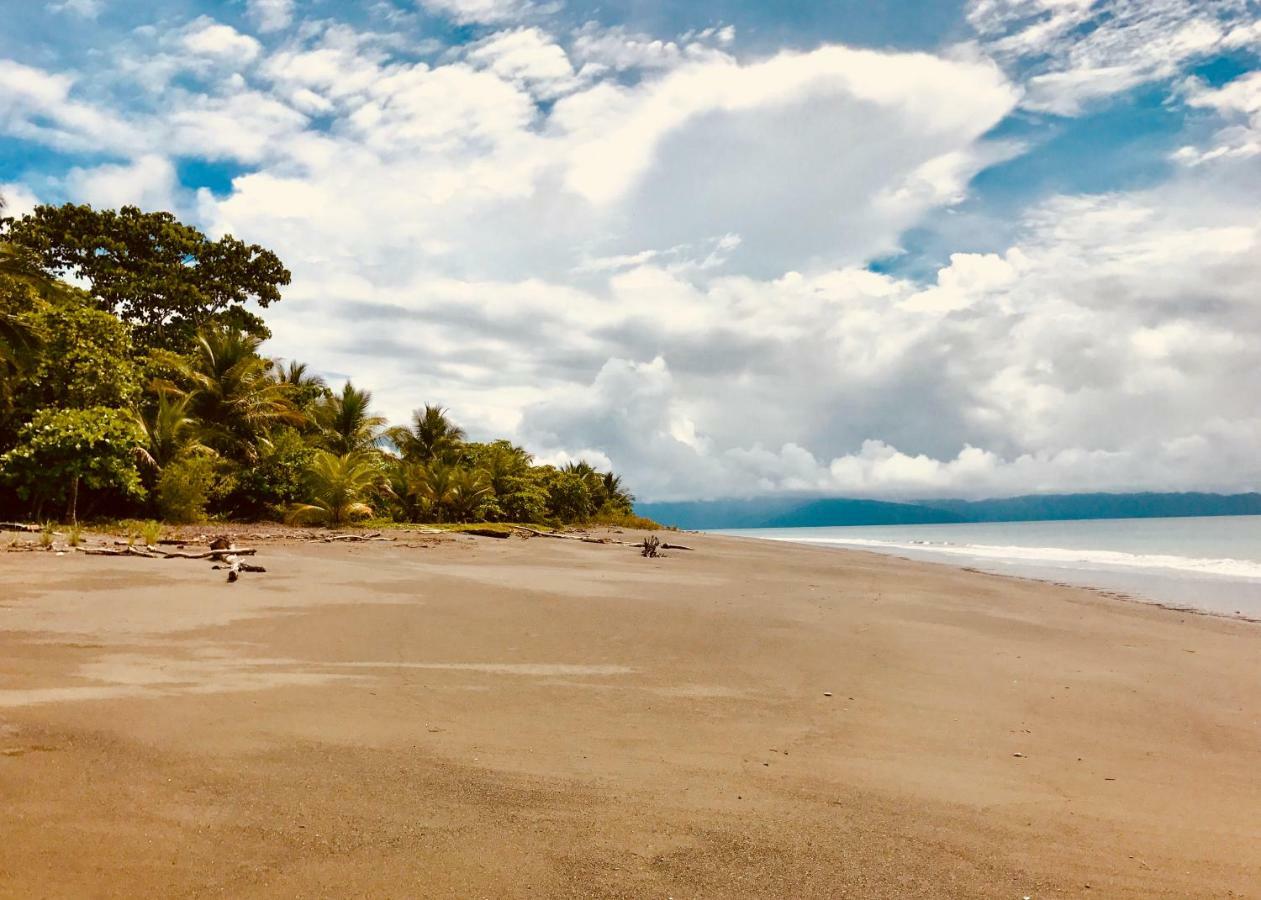 Puerto Jiménez Punta Preciosa Bed & Breakfast エクステリア 写真