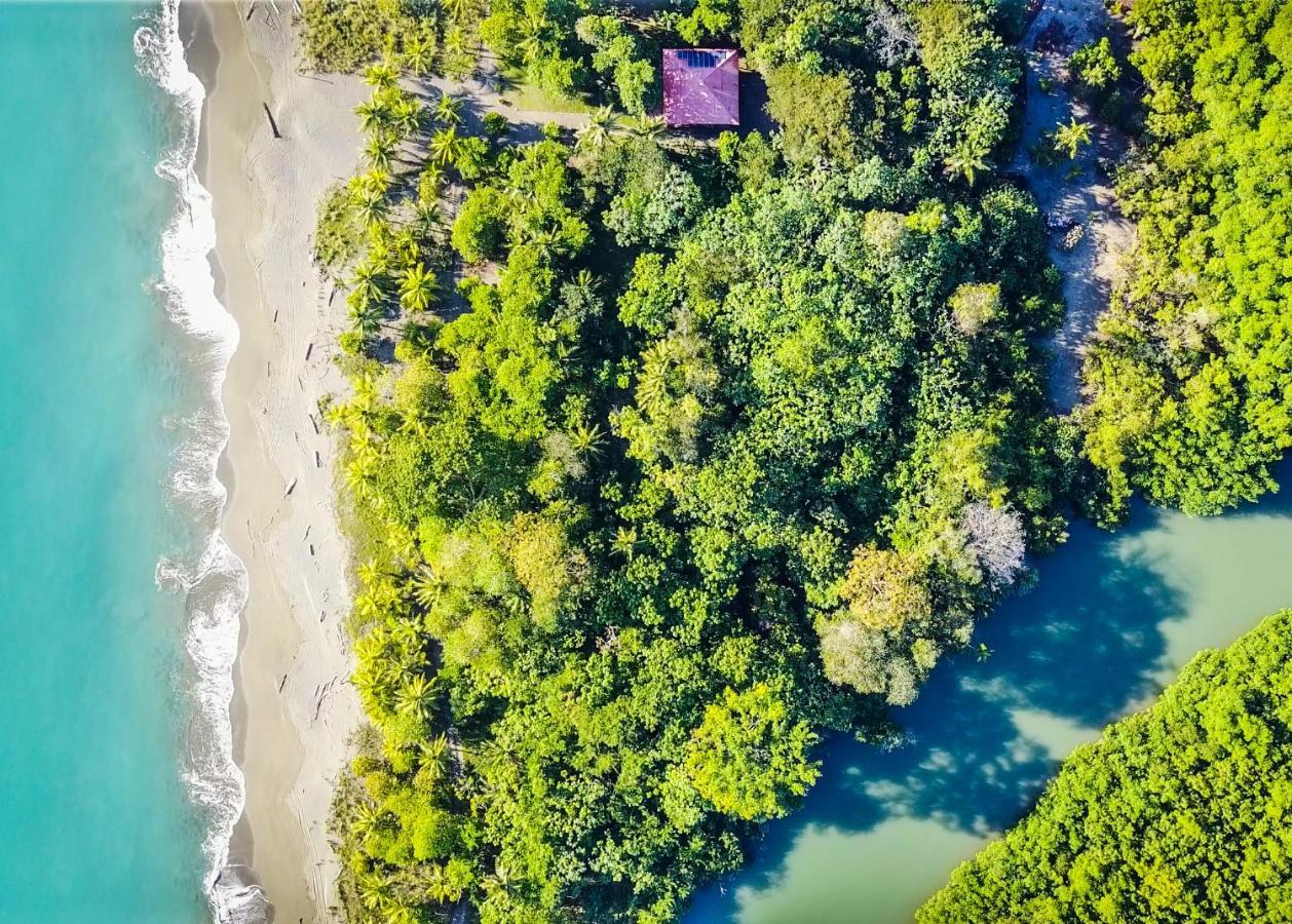 Puerto Jiménez Punta Preciosa Bed & Breakfast エクステリア 写真